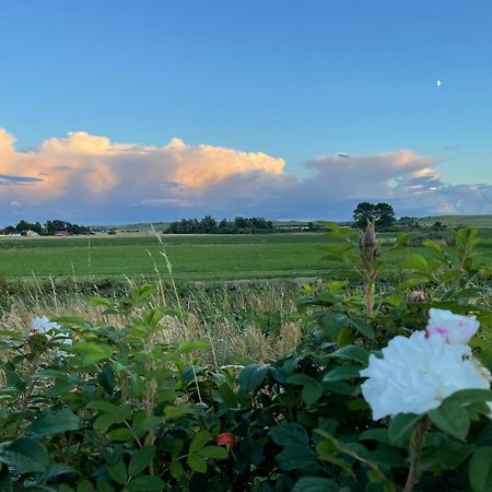 Aengahuset Villa Glemminge Eksteriør billede