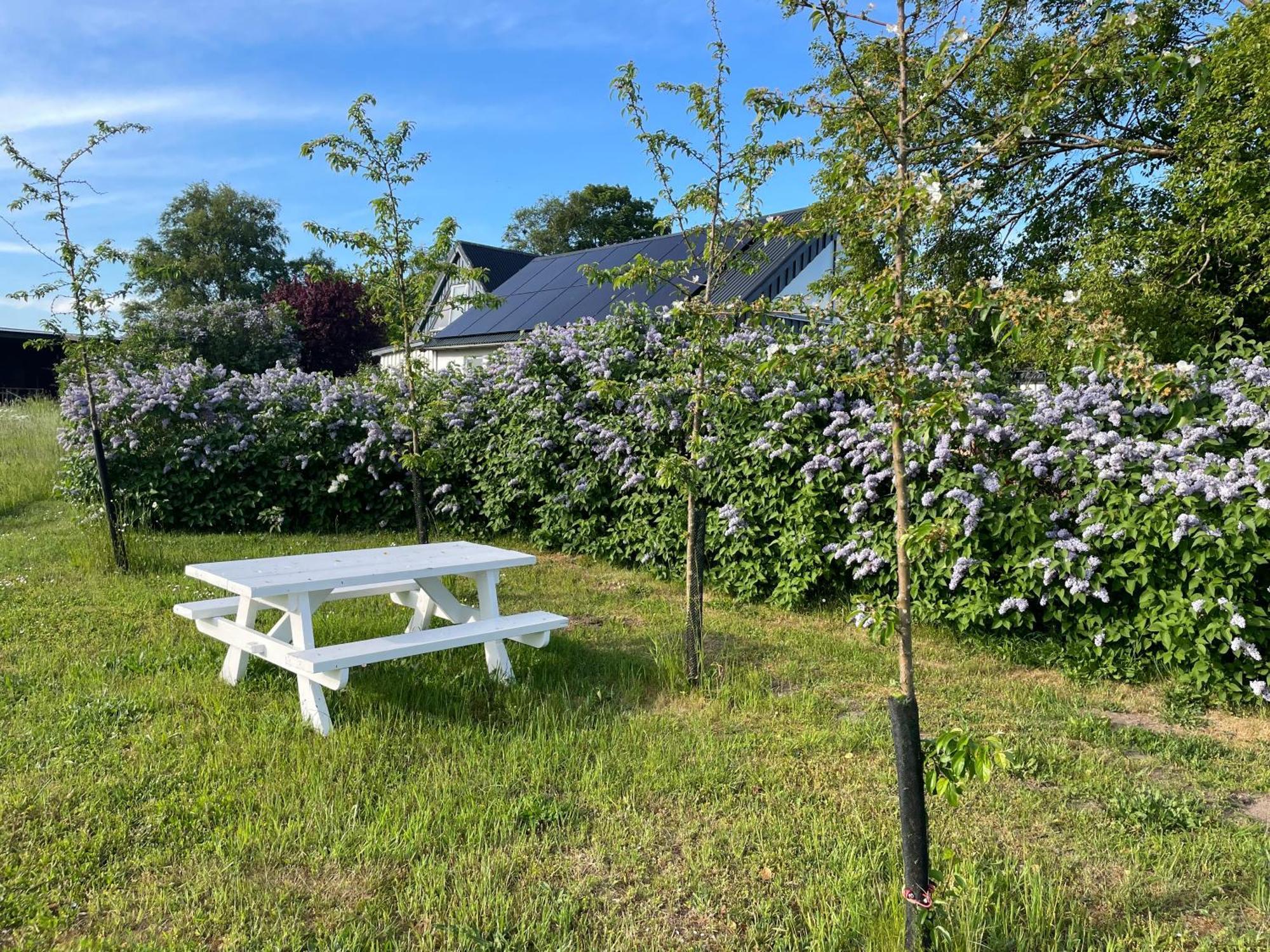 Aengahuset Villa Glemminge Eksteriør billede